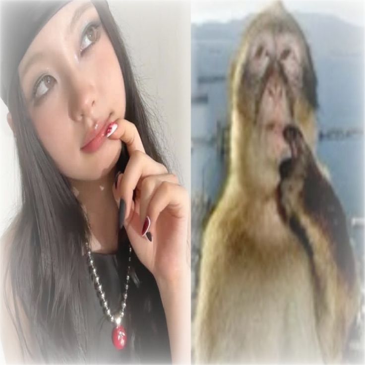 kYaAaa__!!^^ tweet media
