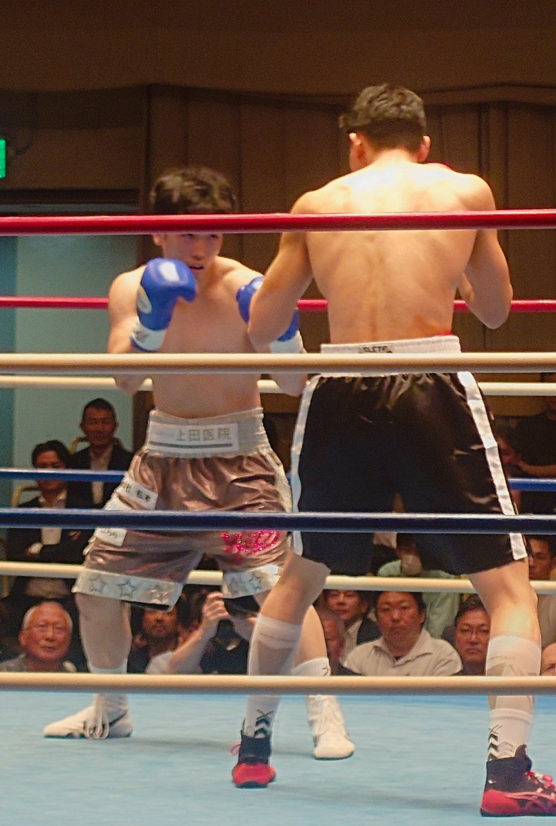 ChibaBoxing's tweet photo. 【プロ🥊東日本新人王戦】
千葉県高校アマ出身ボクサーが揃ってKO勝利❗
​M級：筒井ちび太(PO / 千経大附）ヘビー級から魂の減量！
​L級：古殿涼(ワタナベ / 習志野）準決勝で習高後輩・松永(PO)との高校同門対決が実現です！​千葉勢の進撃が止まらない❗今年の新人王戦、見どころ満載です！ https://t.co/Ph3DYZpHaA