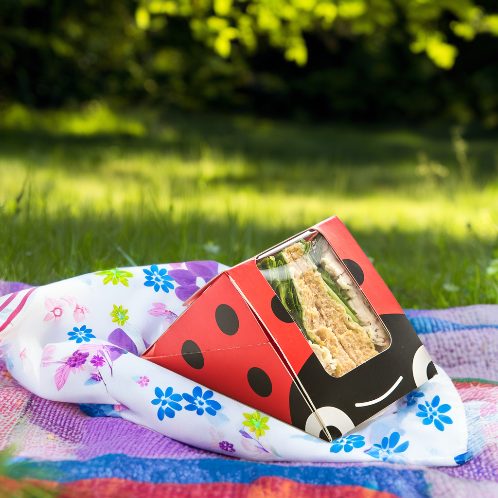 CafeCLtd's tweet photo. Don't be tricked by poor quality imposters, the ladybird #kids #sandwich wedge is exclusive to @CafeCLtd! #compostable #recyclable #takeaway #packaging https://t.co/UUzJbdwjQl
