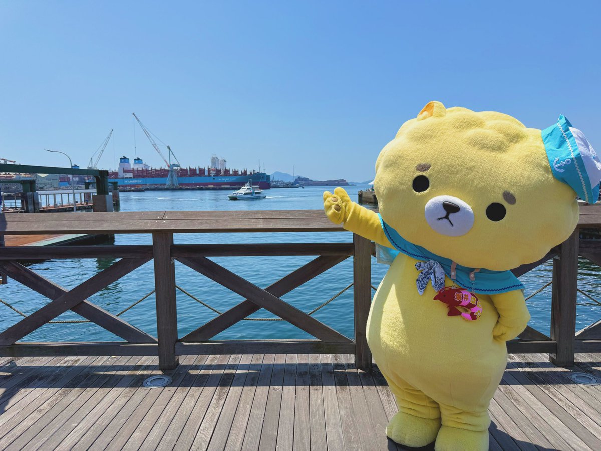 坂井ほや丸🍮🐾【坂井市公式キャラ】ゆるキャラGP 2年連続自治体キャラ1位🥇 tweet media