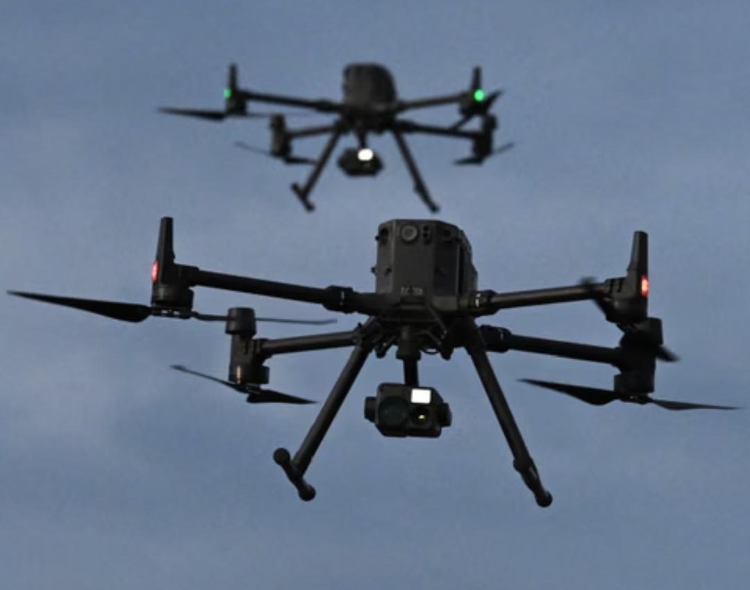 Green Army tweet media