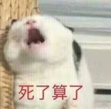 passluo's tweet photo. 今天遇到一个客户，说我们的服务作假

每次只有写缓存，没有读缓存，成本非常高

吓得我测试了一个多小时，也没复现他的问题

最后实在不行，让他们把代码用 AI 脱敏后发给我看看

结果一看，他们根本没拼接上下文

是按 chatbox 的方式每次光把新内容封装出来去请求 API

做服务业好难，想死…… https://t.co/JsGILLjgxk
