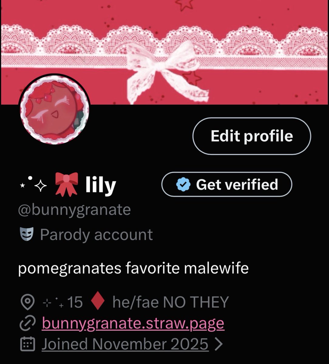 ⋆˙⟡ 🎀 lily tweet media