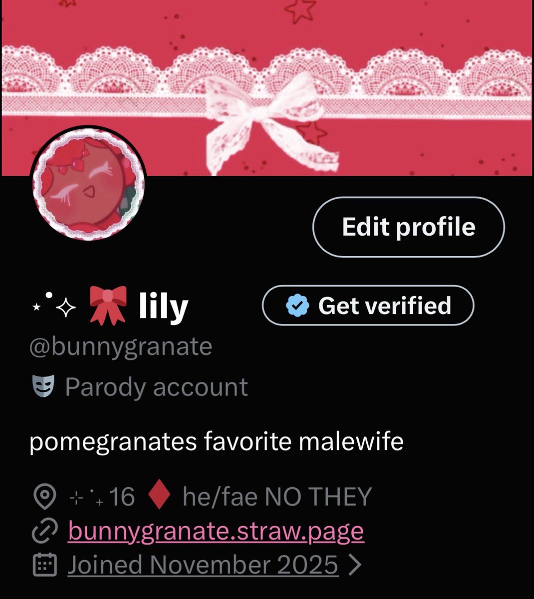 ⋆˙⟡ 🎀 lily tweet media