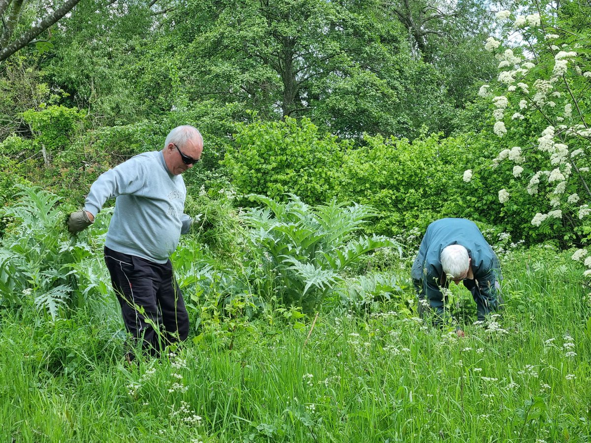fruitnutvillage's tweet photo. Our weekly visit to #KingdomForestGarden #Stirchley today.
Always a joy to be there... and surrounded by such a lovely group of enthusiastic, supportive people. #StartTheWeek Monday 9 am to 12 pm. https://t.co/1nph2zmLR2