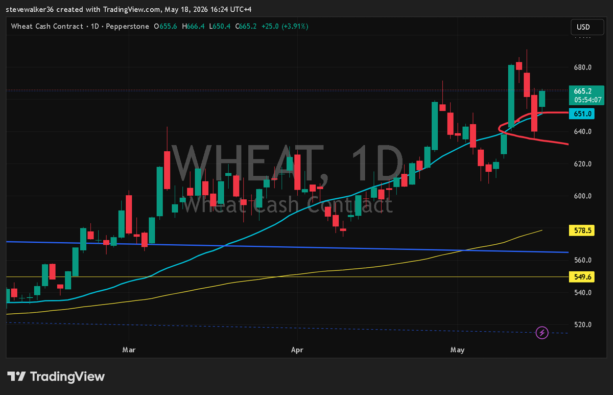 stevewalker36's tweet photo. Its been said
#ZW_F $ZW_F #Wheat https://t.co/IDX5vzAhpK
