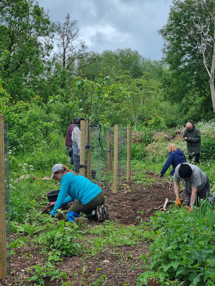 fruitnutvillage's tweet photo. Our weekly visit to #KingdomForestGarden #Stirchley today.
Always a joy to be there... and surrounded by such a lovely group of enthusiastic, supportive people. #StartTheWeek Monday 9 am to 12 pm. https://t.co/1nph2zmLR2