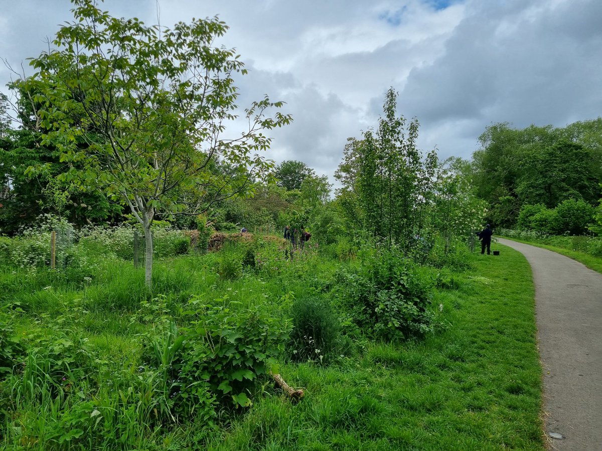 fruitnutvillage's tweet photo. Our weekly visit to #KingdomForestGarden #Stirchley today.
Always a joy to be there... and surrounded by such a lovely group of enthusiastic, supportive people. #StartTheWeek Monday 9 am to 12 pm. https://t.co/1nph2zmLR2