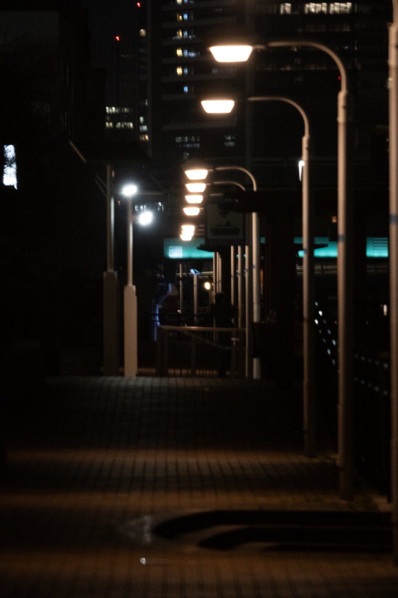 落花生ヘビ tweet media