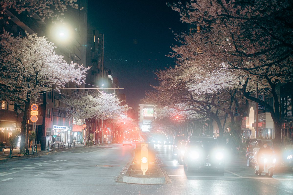 藍 | ran tweet media
