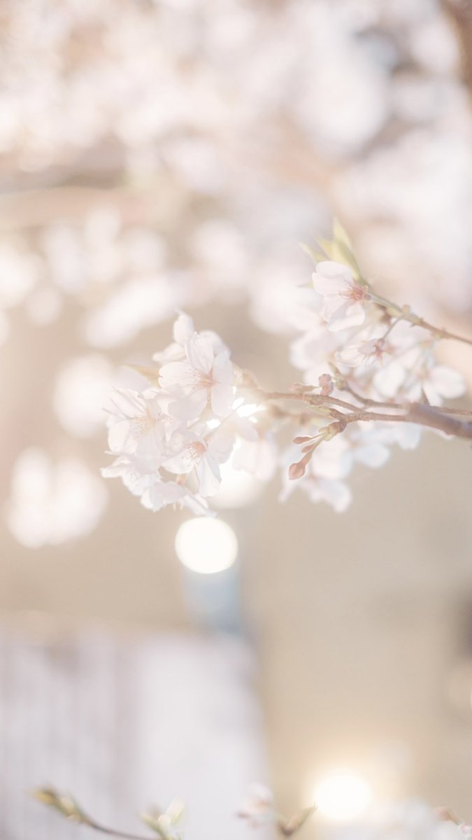 藍 | ran tweet media