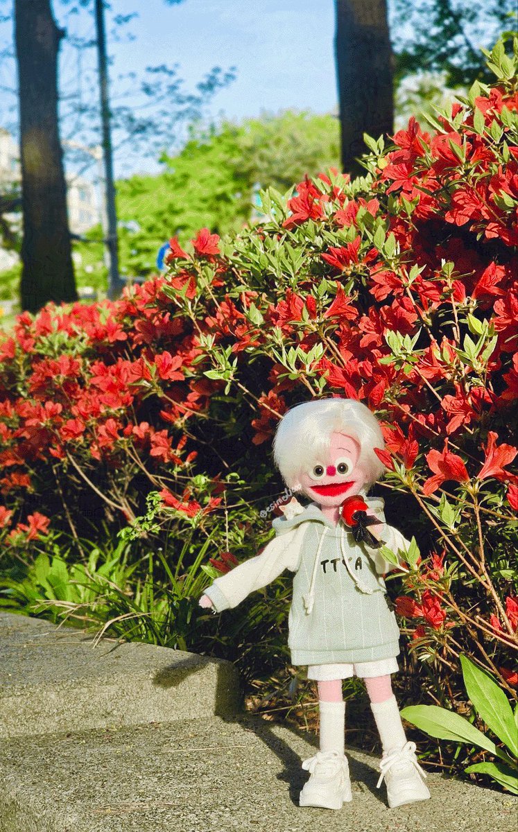 esimed1000's tweet photo. #just_puppet
역시 인형은 꽃이랑🌸 https://t.co/OceTfQaFrP