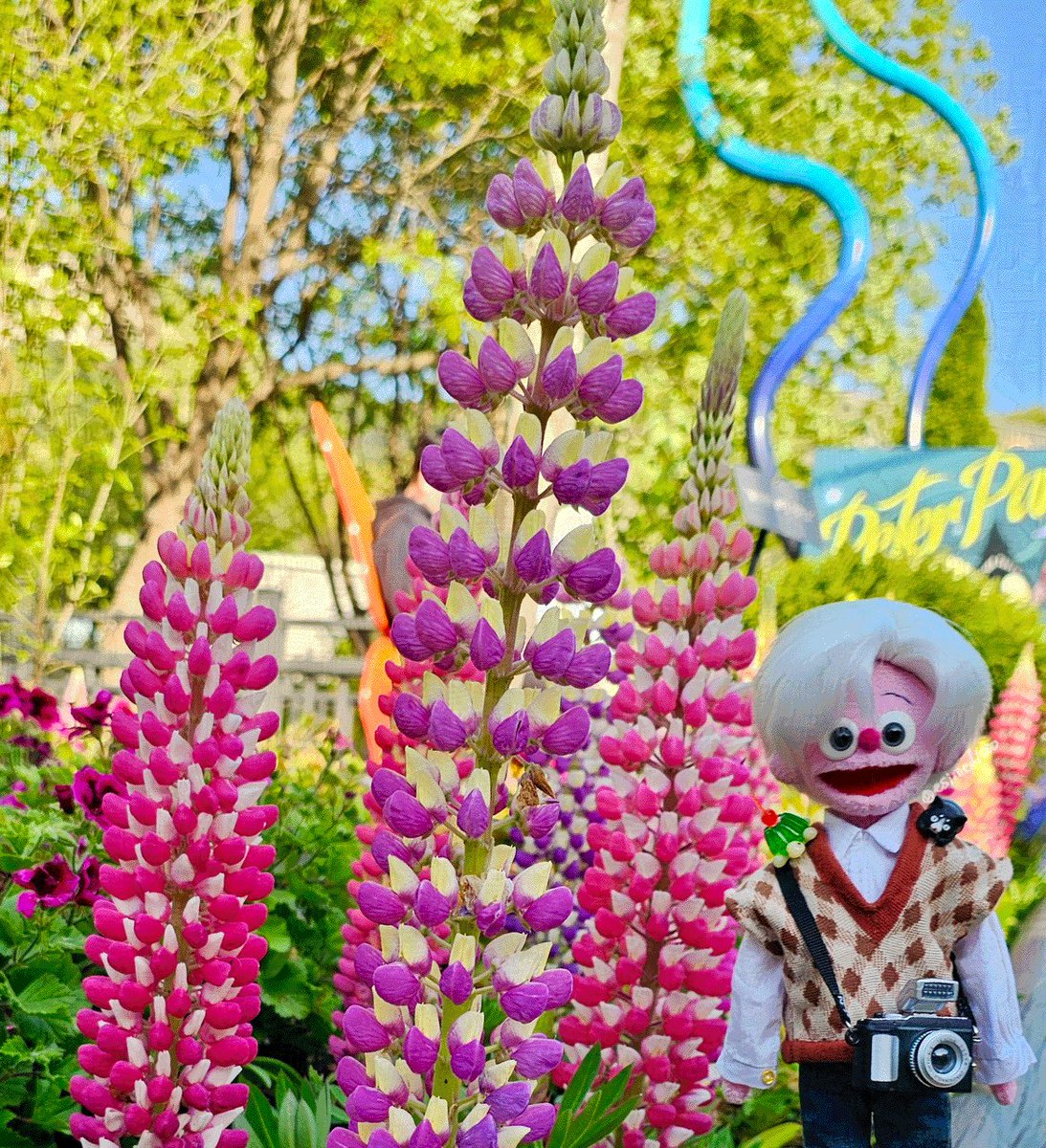 esimed1000's tweet photo. #just_puppet
역시 인형은 꽃이랑🌸 https://t.co/OceTfQaFrP