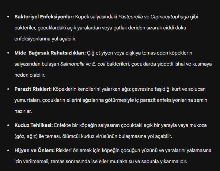 Ali Tüfekçi tweet media