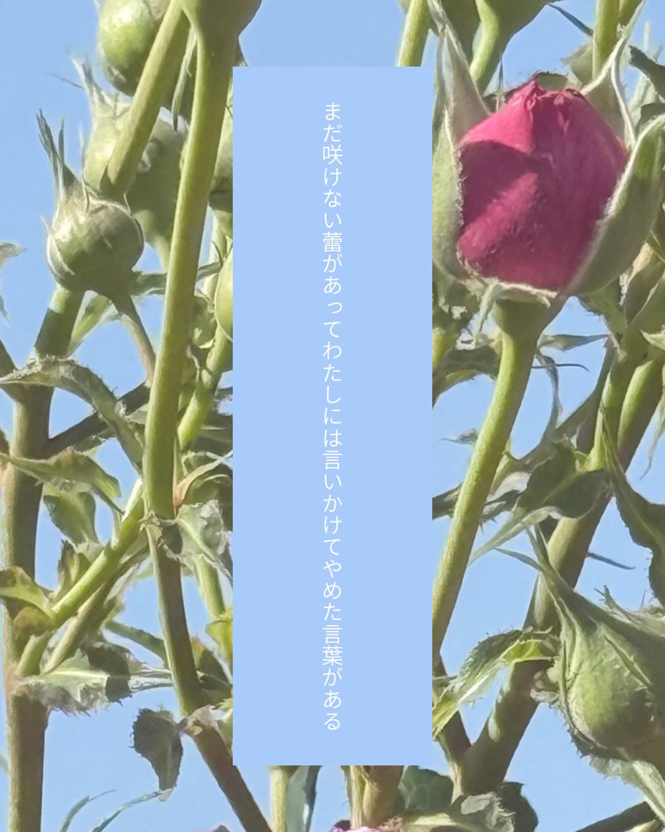 月並変哲 tweet media