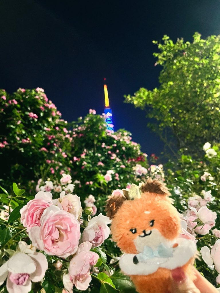 Ayumi tweet media