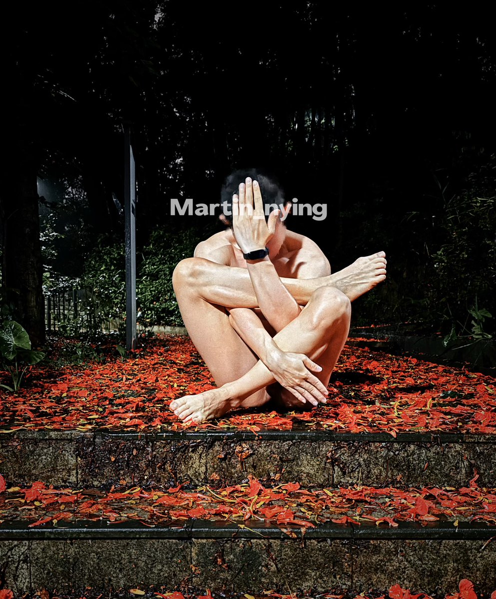 martin-ying tweet media