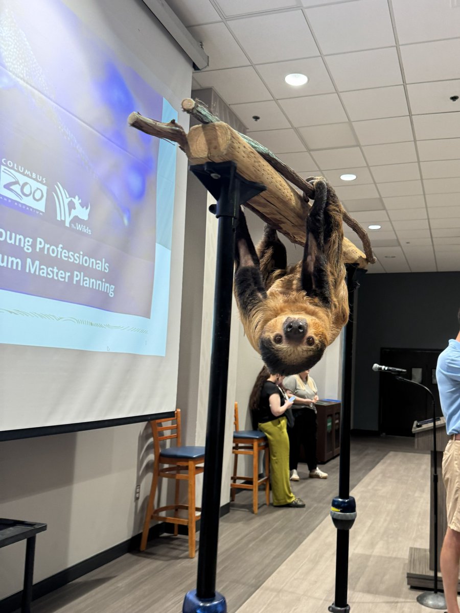 DanisBuilds's tweet photo. We loved sponsoring the Builders Exchange of Central Ohio Young Professionals event at the @ColumbusZoo. Spending time with some of the animals made the experience even more memorable!
#ColumbusZoo #BXYP #BXCentralOhio #ColumbusOhio #DanisBuilds https://t.co/knTiDrSEmX