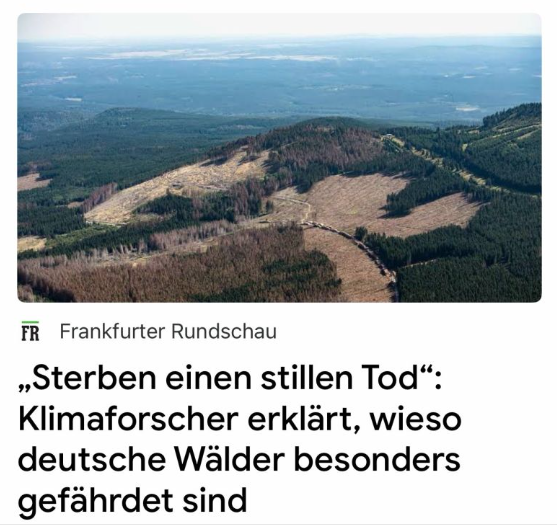 Fräulein Nass tweet media