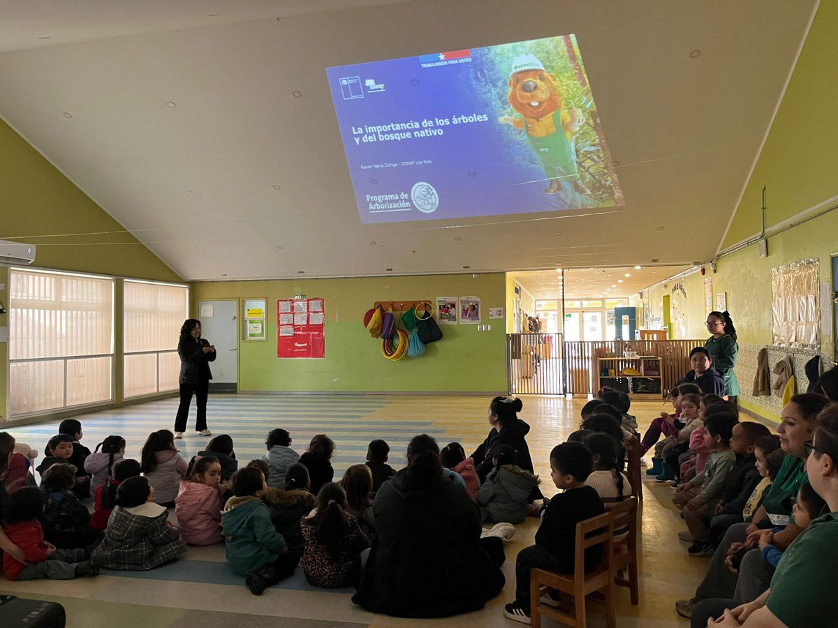 conaf_losrios's tweet photo. 📍#VALDIVIA| Junto a @ForestinChile y profesionales de la Corporación, niños y niñas del Jardín Aneley, recibieron charla de educación ambiental sobre la importancia de los árboles y el bosque nativo. Posteriormente se realizó una plantación de especies nativas en el patio del jardín 🌱