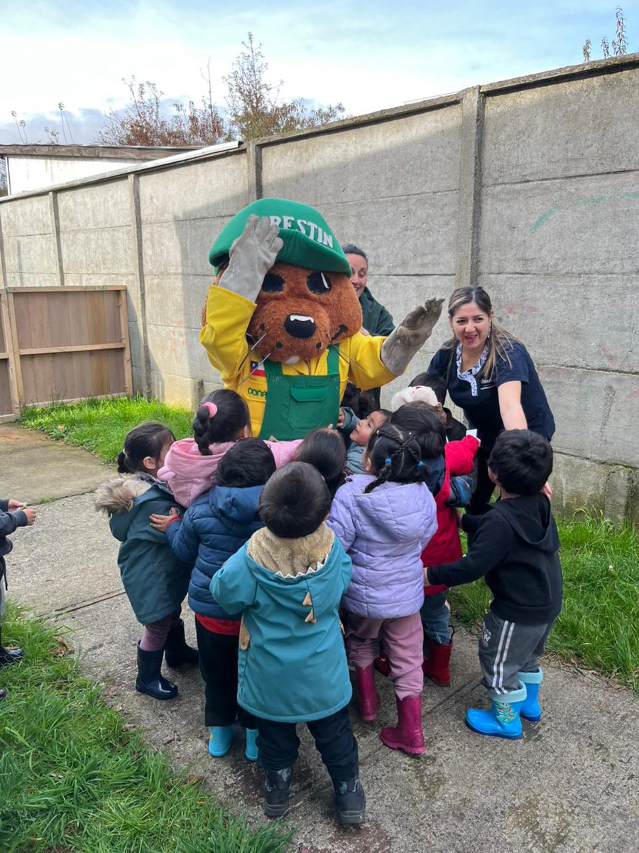 conaf_losrios's tweet photo. 📍#VALDIVIA| Junto a @ForestinChile y profesionales de la Corporación, niños y niñas del Jardín Aneley, recibieron charla de educación ambiental sobre la importancia de los árboles y el bosque nativo. Posteriormente se realizó una plantación de especies nativas en el patio del jardín 🌱