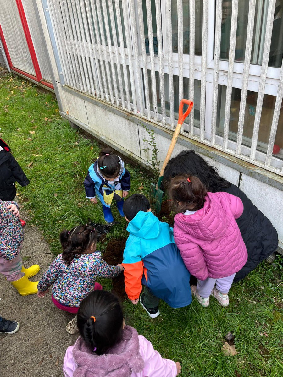 conaf_losrios's tweet photo. 📍#VALDIVIA| Junto a @ForestinChile y profesionales de la Corporación, niños y niñas del Jardín Aneley, recibieron charla de educación ambiental sobre la importancia de los árboles y el bosque nativo. Posteriormente se realizó una plantación de especies nativas en el patio del jardín 🌱