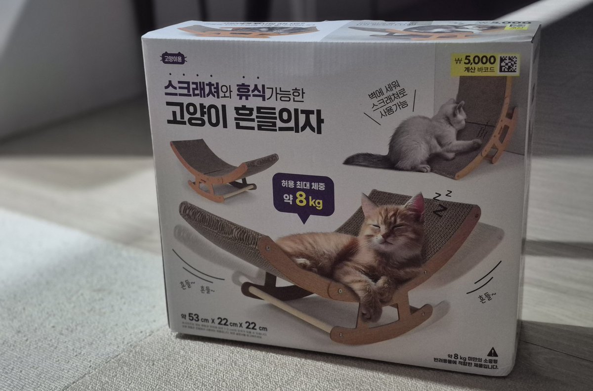 후쭈와 복복이 🐈🐈‍⬛ tweet media