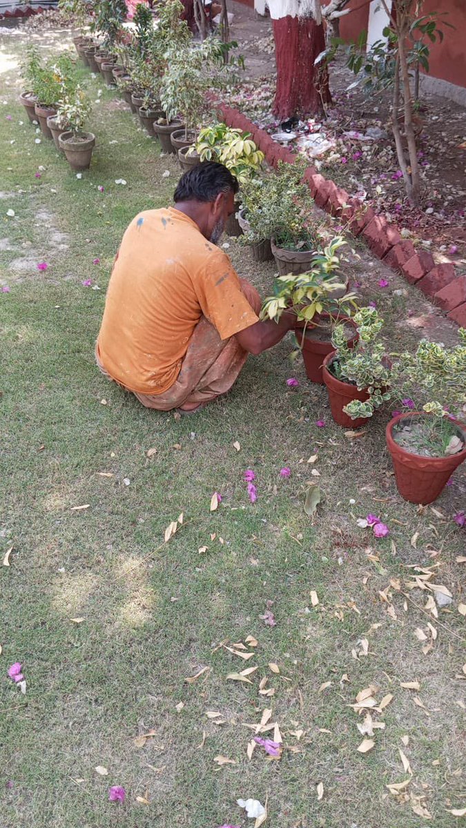 GGC SAIFABAD tweet media