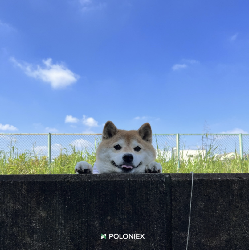 Poloniex Exchange tweet media