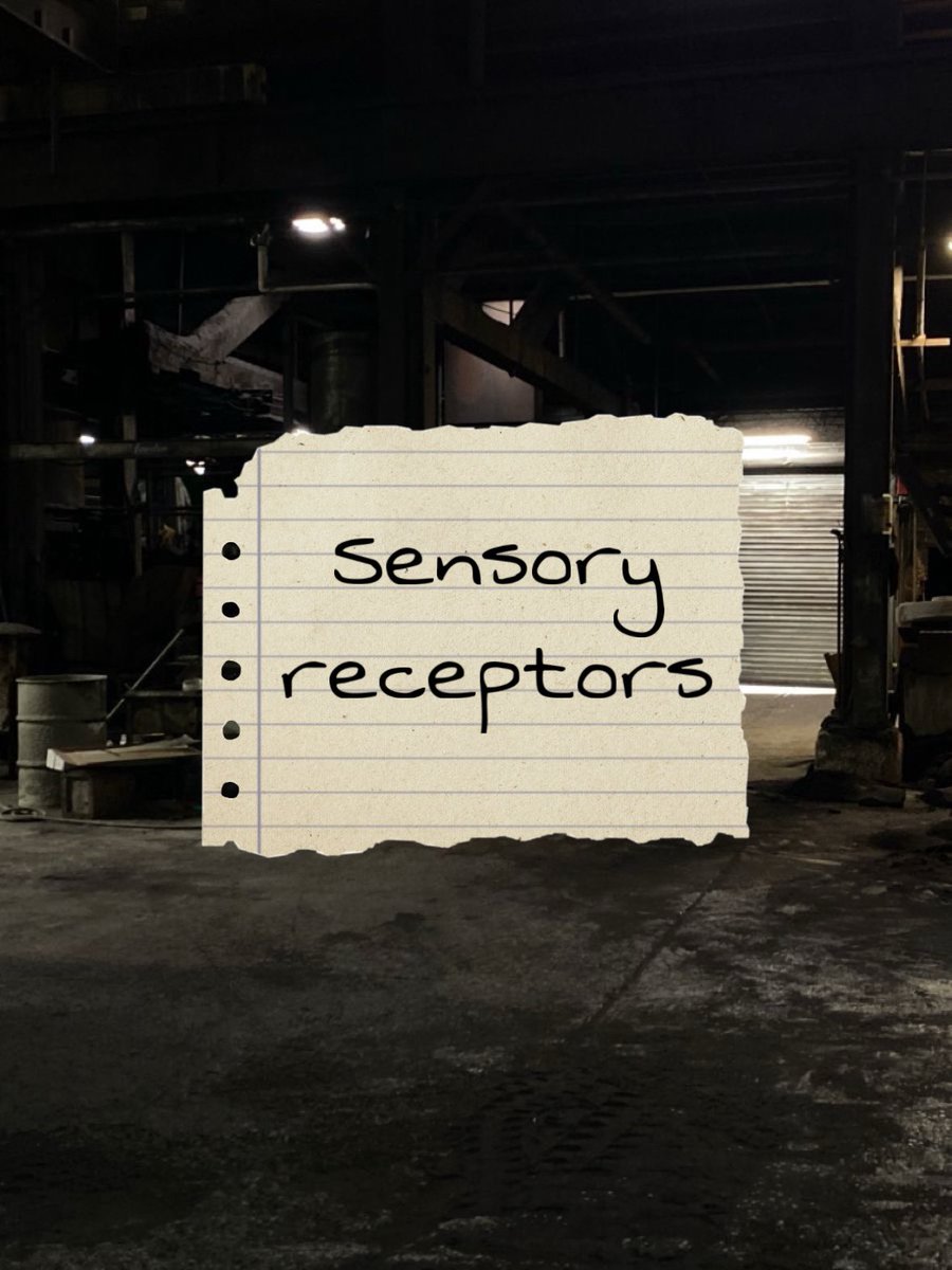 evilhexscars's tweet photo. sensory receptors

2.5k words, pwp, vikjayce

domtop v subbot j

https://t.co/G353QEpGMd https://t.co/FXKp6uFqVK