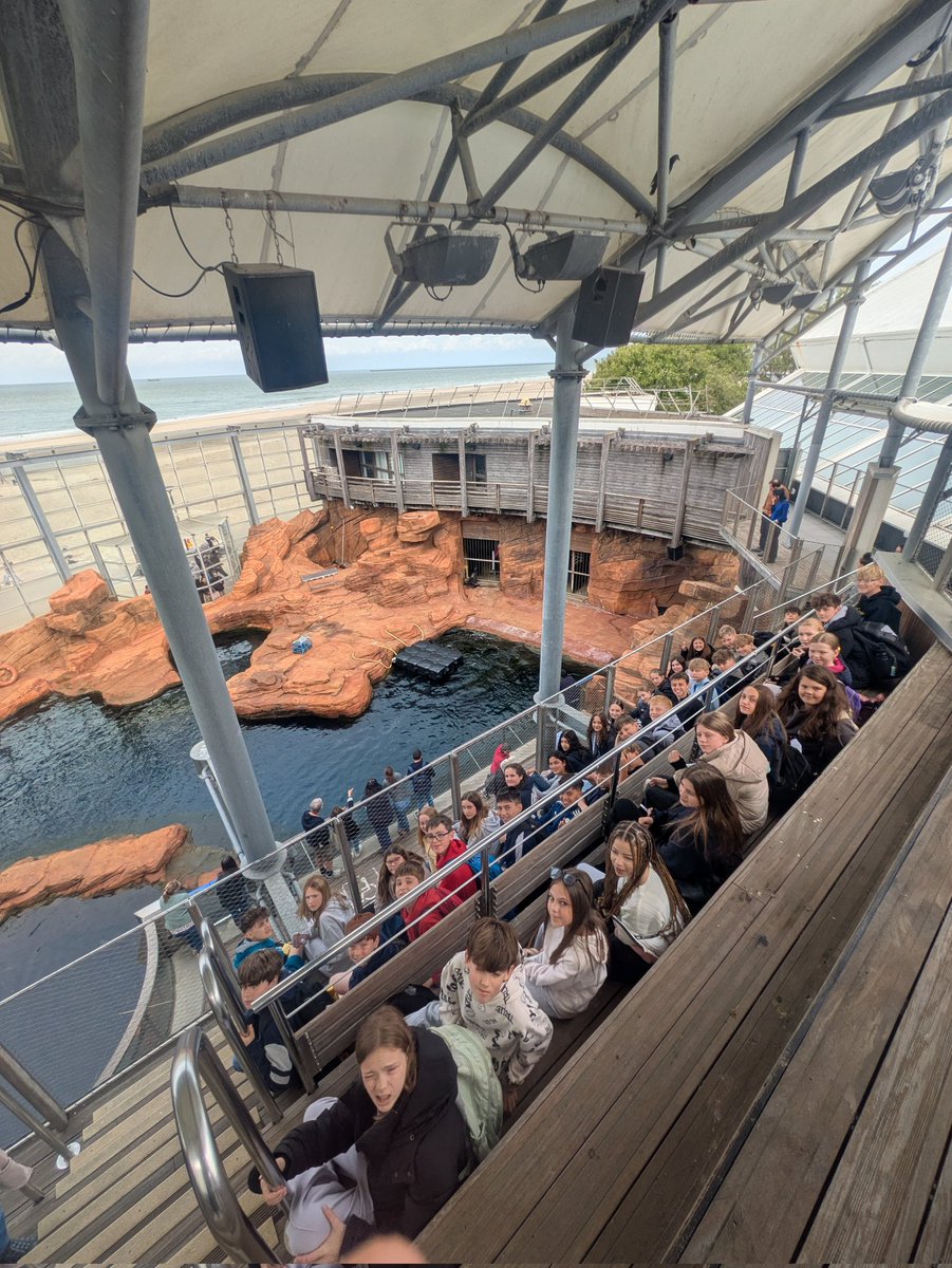 AFMS's tweet photo. Another brilliant day yesterday on our France trip! 🇫🇷 We spent the day at , the biggest Sealife centre in Europe, before heading to  for some seaside fun. It was just about warm enough for a game on the beach! 🌊🏖️ https://t.co/ow6eiGV511