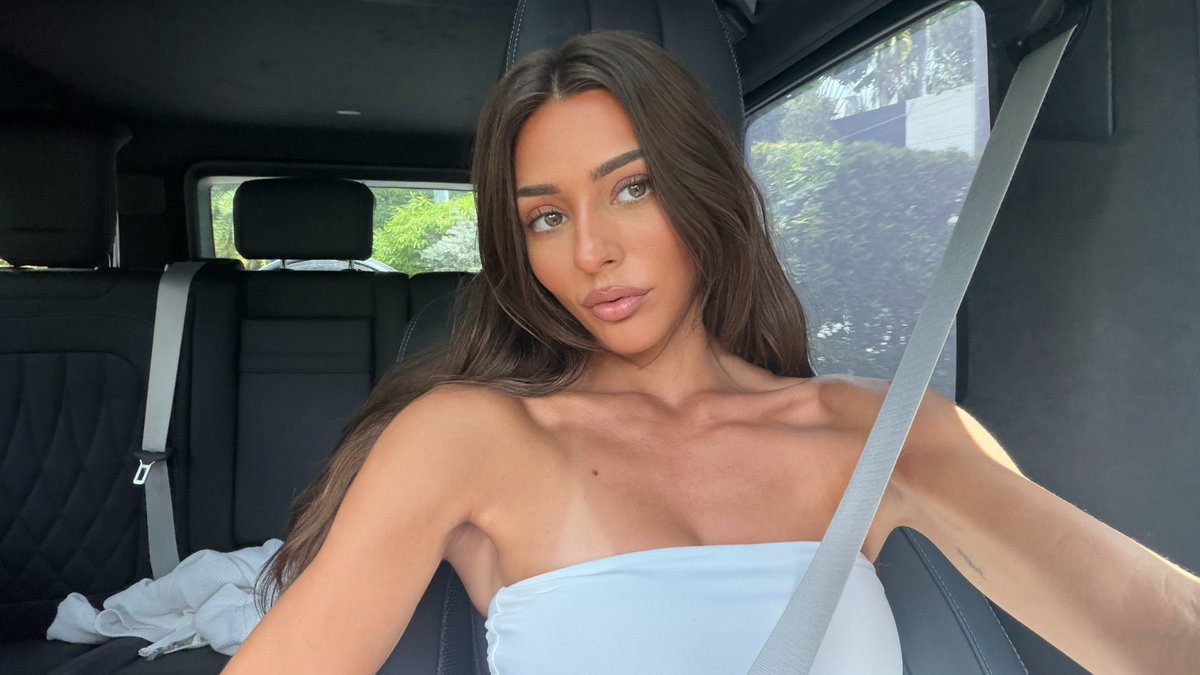 lauren tweet media
