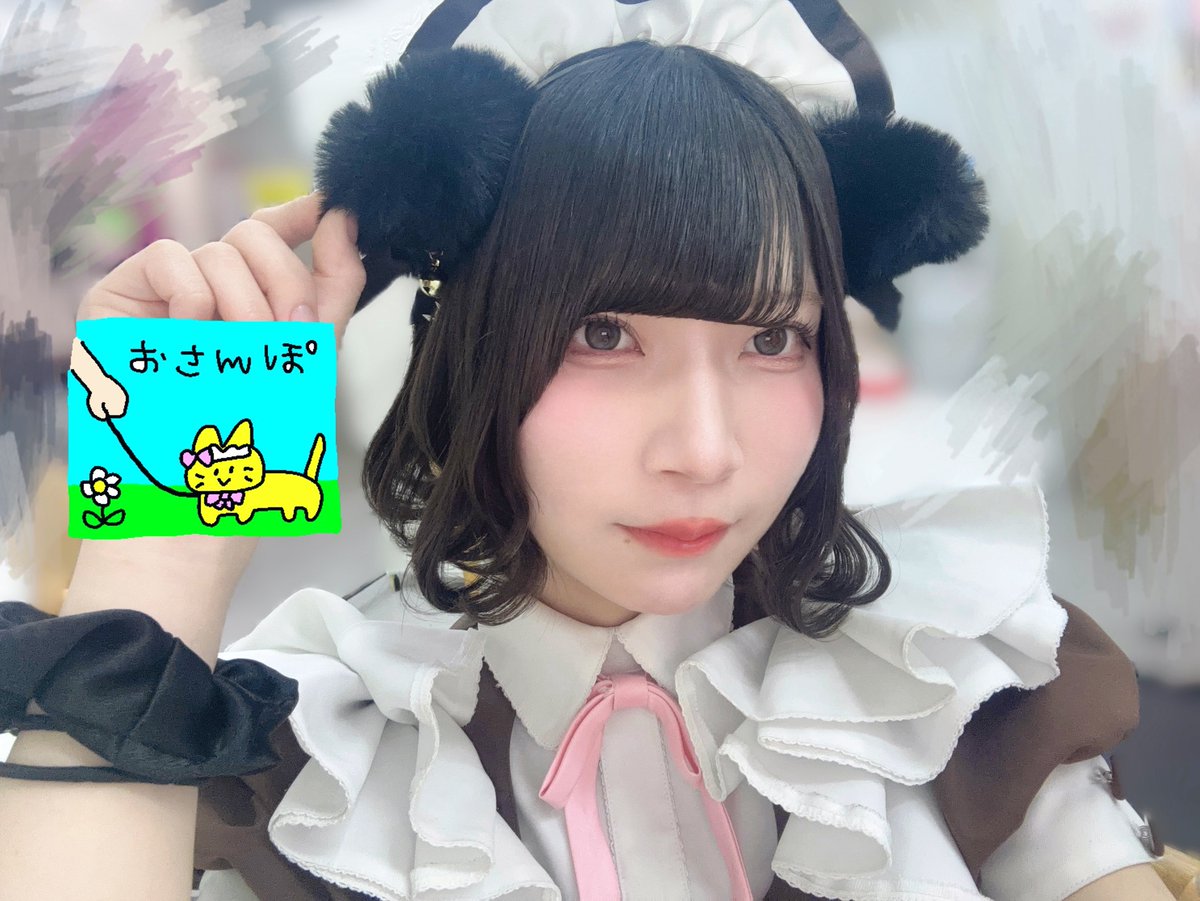 Post by ぐみ at home cafe on X: ねこをおさんぽ