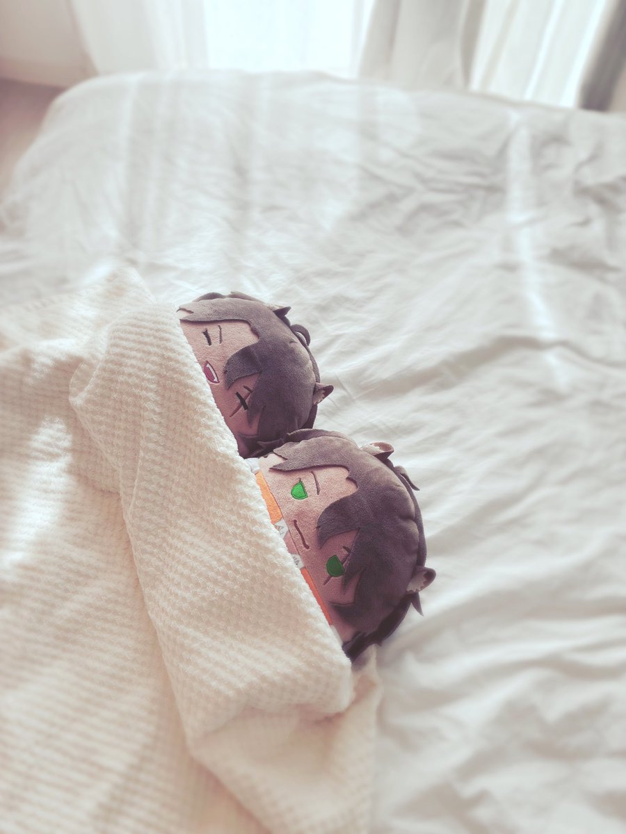 はるしゃあ🧸🍭ぬい tweet media