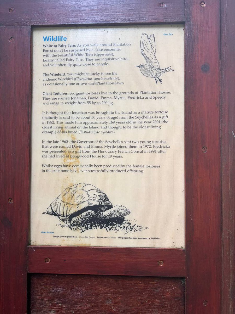 Jonathan The Tortoise (Worlds Oldest Animal) tweet media