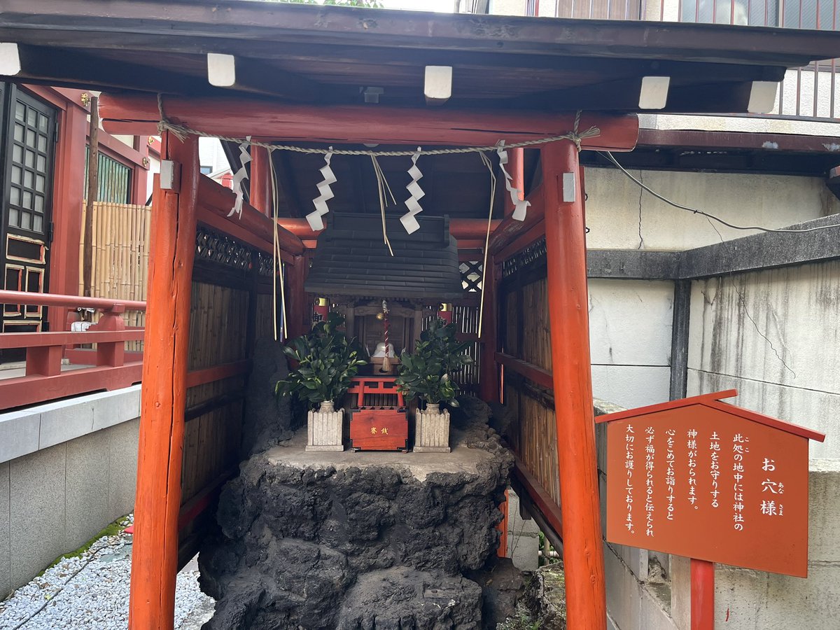 天中軒すみれ tweet media