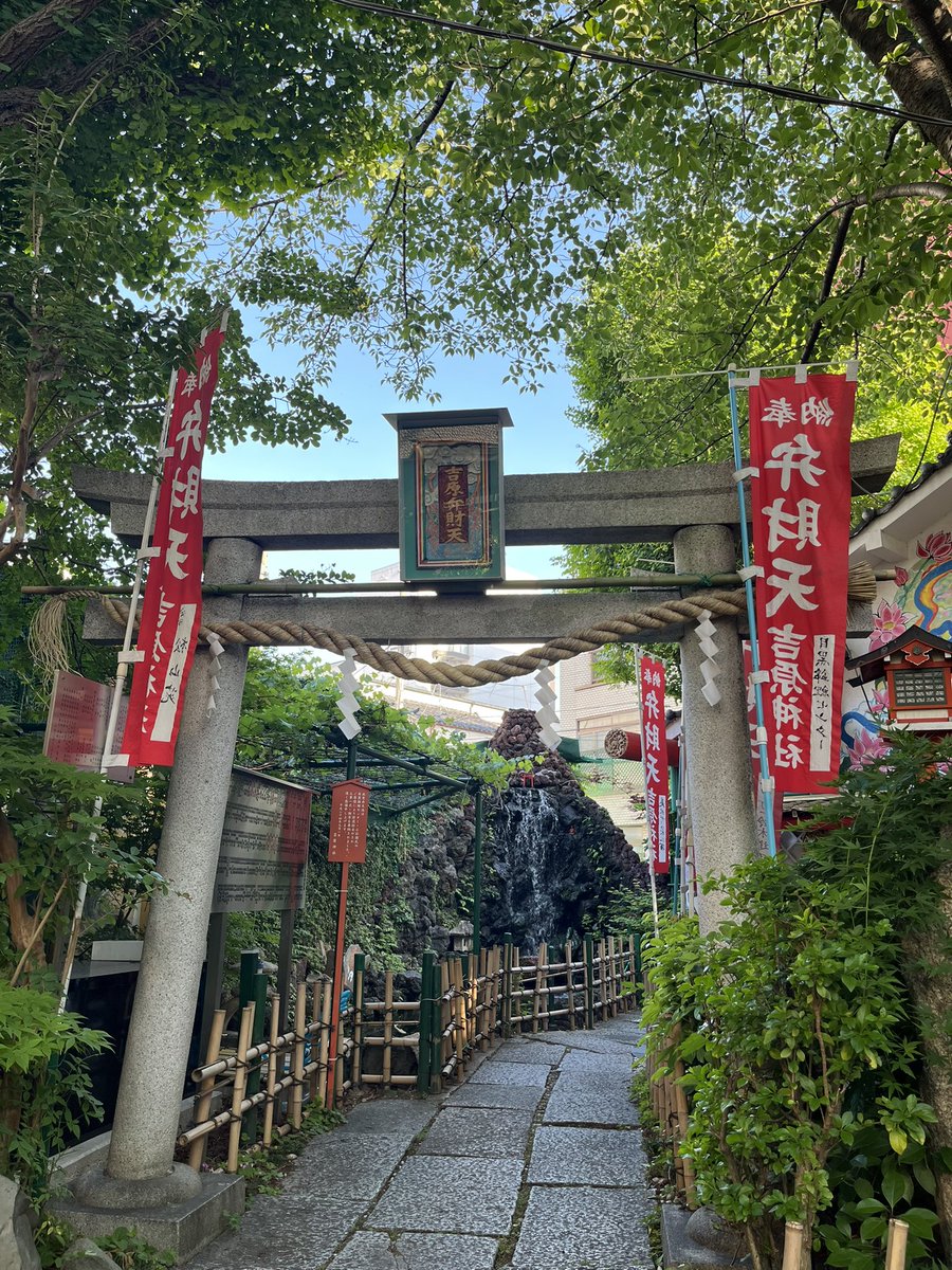 天中軒すみれ tweet media