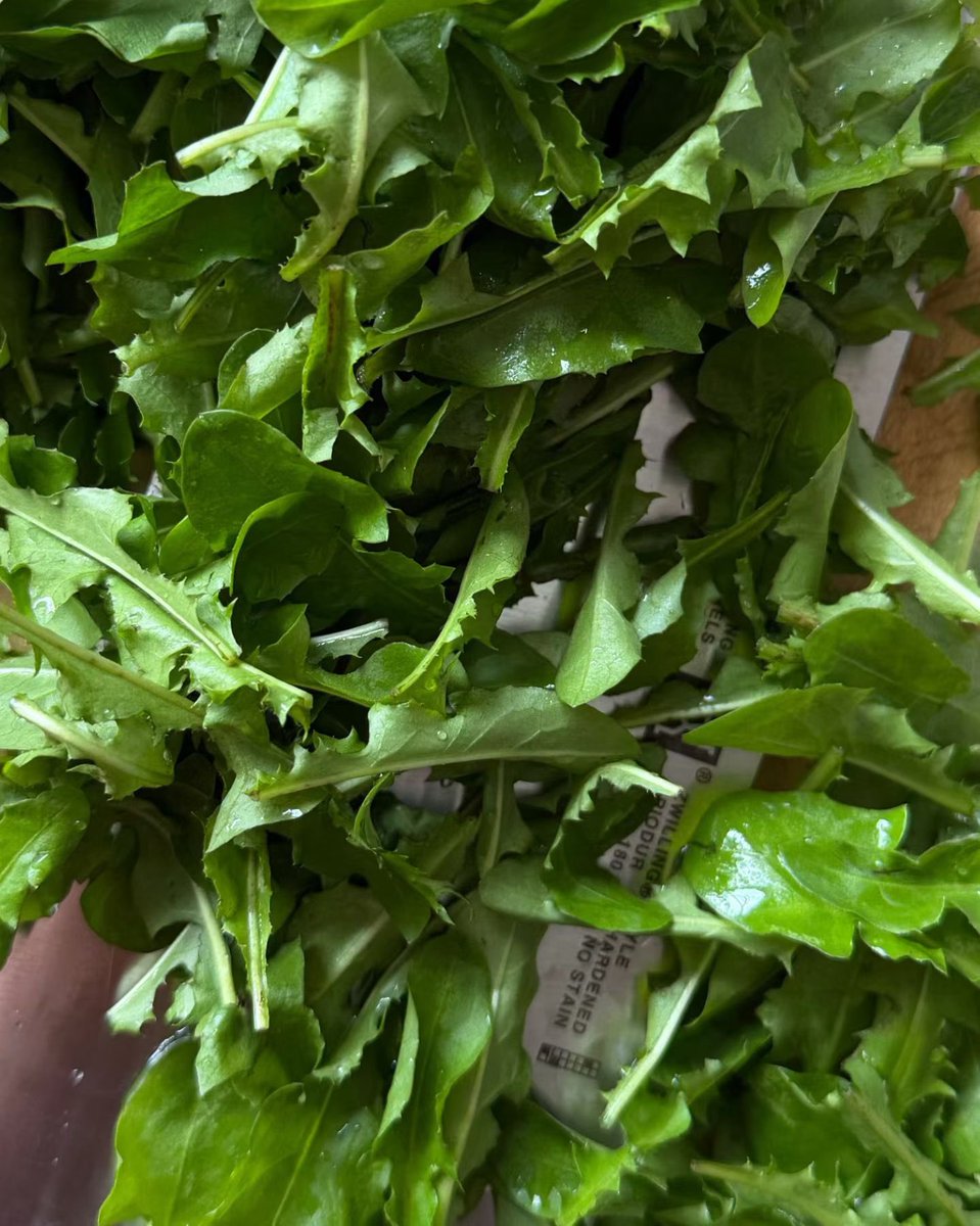 Anne37259256's tweet photo. 😂 From foraging to frying. Dandelion egg scramble. 🌿🍳 
#foragedfood #simplecooking #healthyeats https://t.co/DHWF149vLv