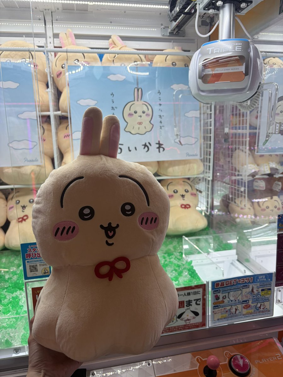 はちうさ tweet media