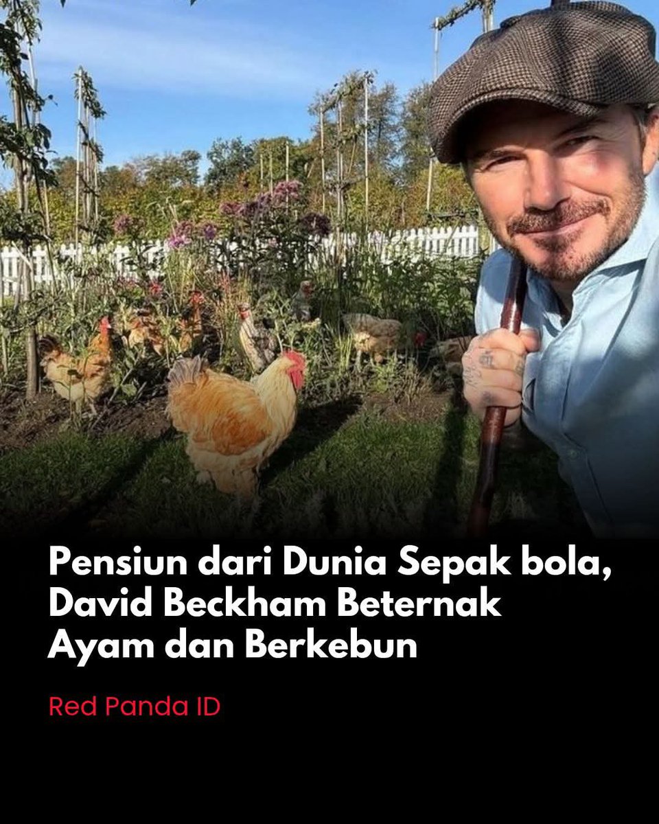 Presiden kopi tweet media