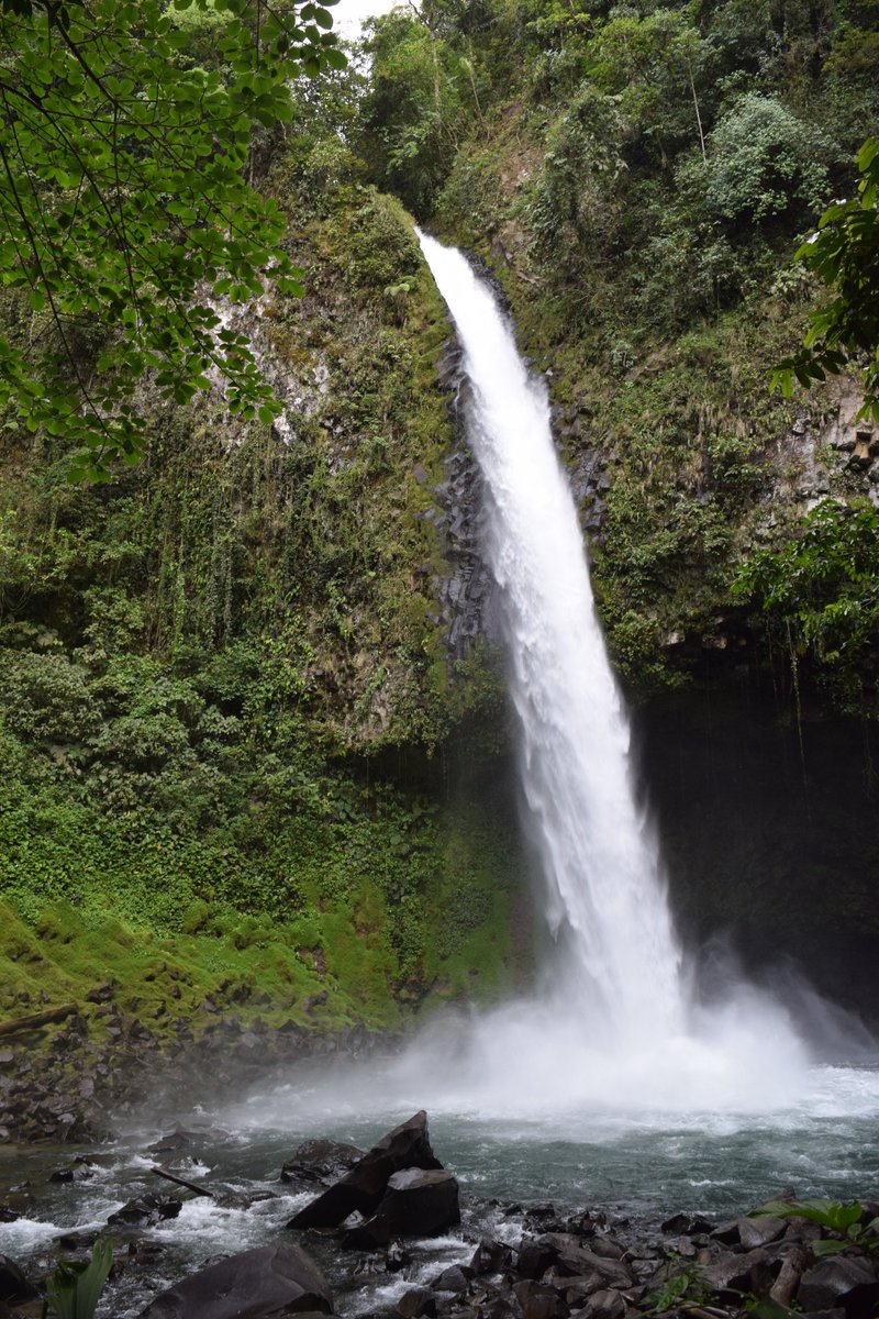 GERiLAB12's tweet photo. GERi Lab visited La Fortuna Waterfall, one of Costa Rica’s most iconic natural attractions, surrounded by dense tropical rainforest. The waterfall plunges into a clear pool within a scenic canyon, offering opportunities for hiking, swimming, and nature appreciation. https://t.co/5M2RE5NF1j