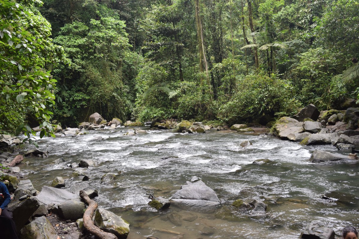 GERiLAB12's tweet photo. GERi Lab visited La Fortuna Waterfall, one of Costa Rica’s most iconic natural attractions, surrounded by dense tropical rainforest. The waterfall plunges into a clear pool within a scenic canyon, offering opportunities for hiking, swimming, and nature appreciation. https://t.co/5M2RE5NF1j
