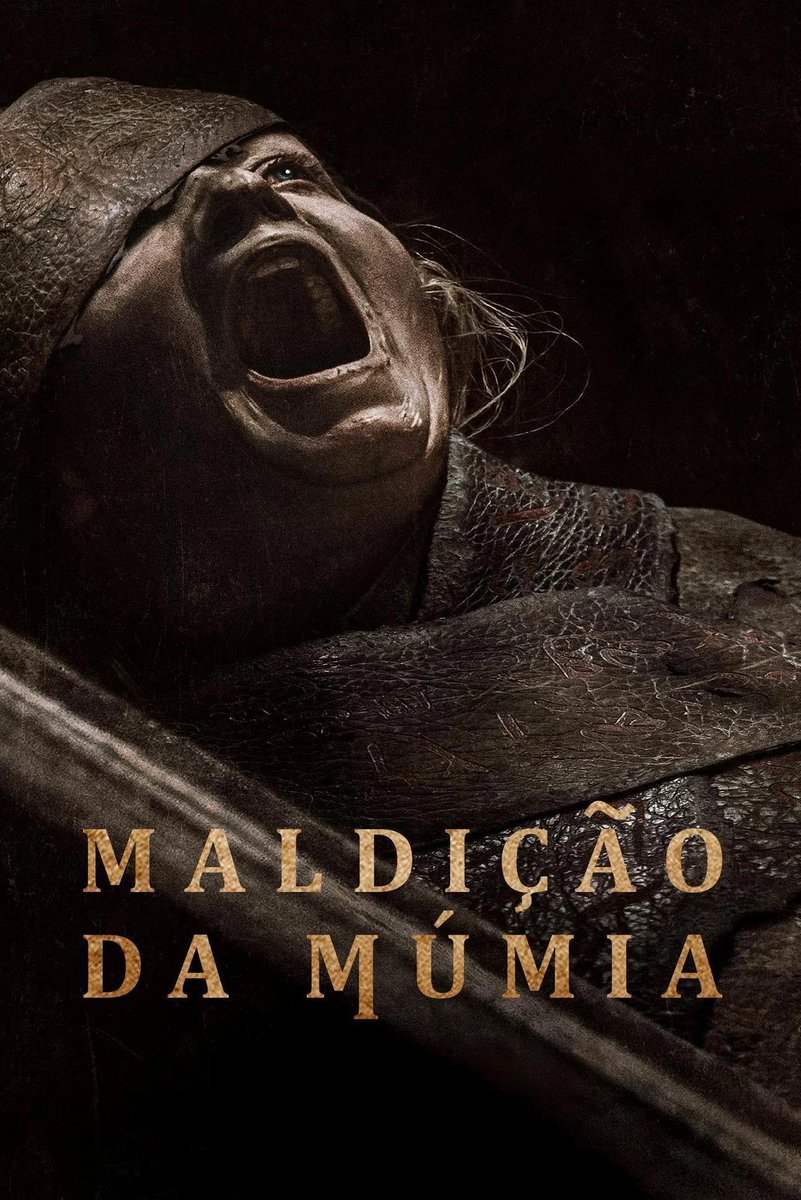 Alerta Locadoras do Terror tweet media