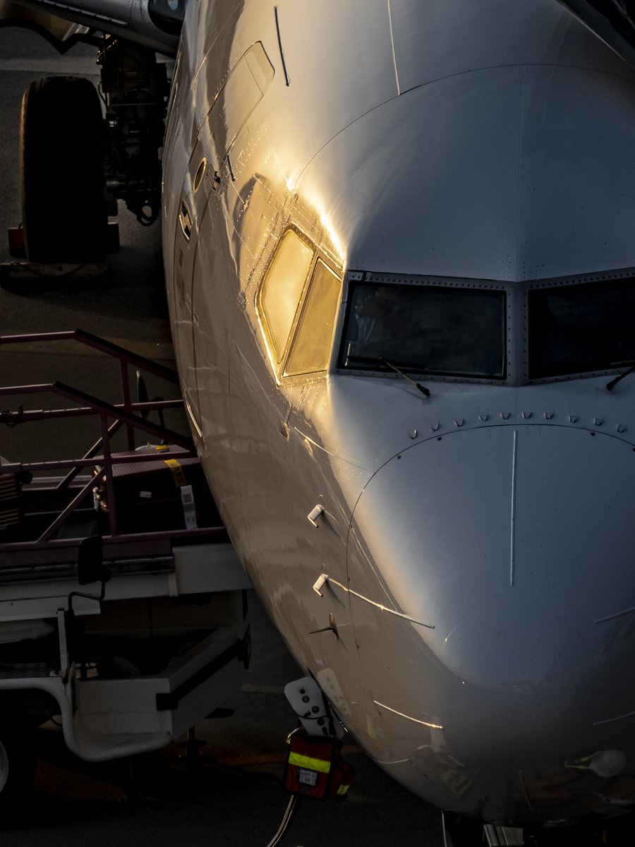 747mickey's tweet photo. ★JAL B737✈️
✨シリアスな表情から窺える静かなプライド✨ https://t.co/XB5AwpTL8B