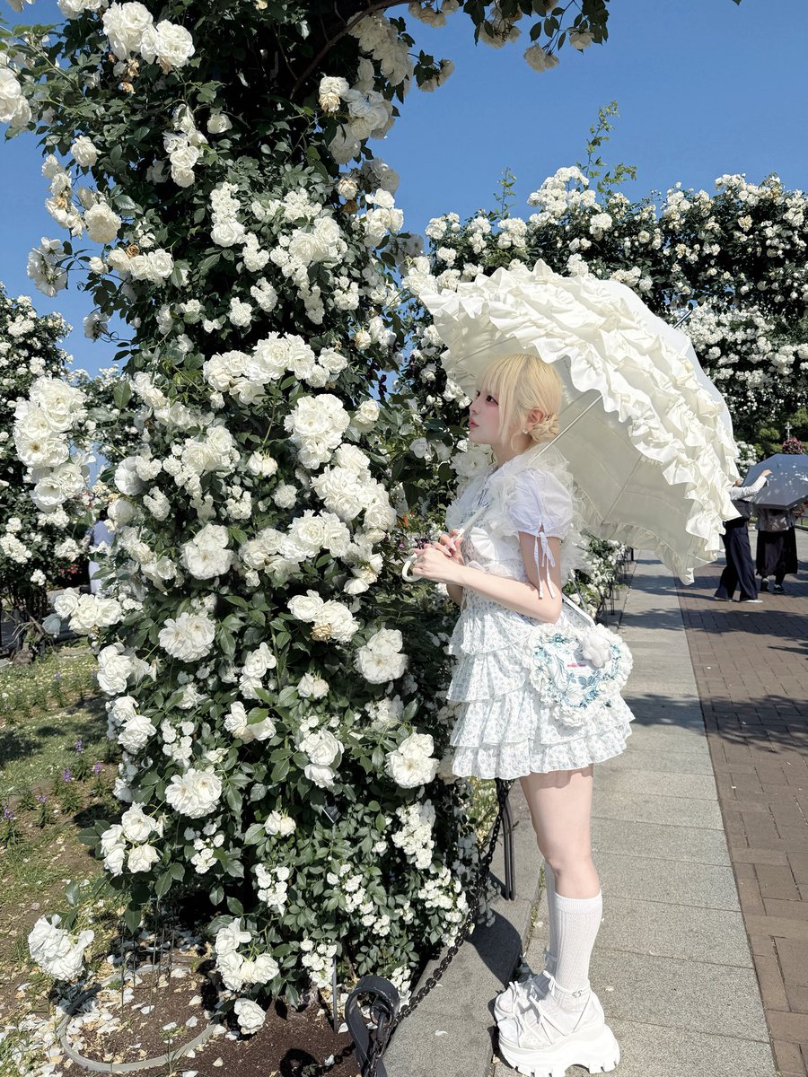 リリ🐰 tweet media