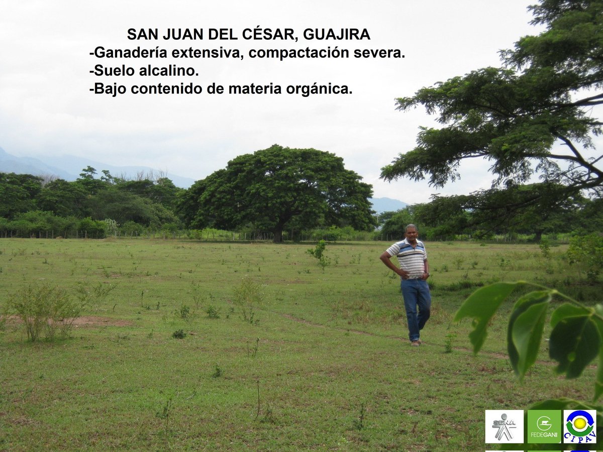 Juancho Sinisterra 🇨🇴 tweet media