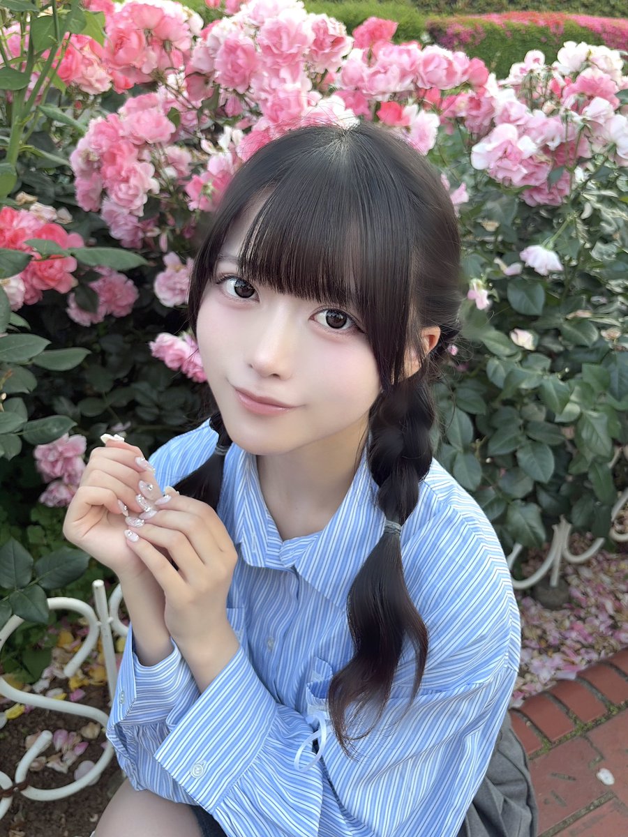 星宮 ひかる【マリークラウン】 tweet media