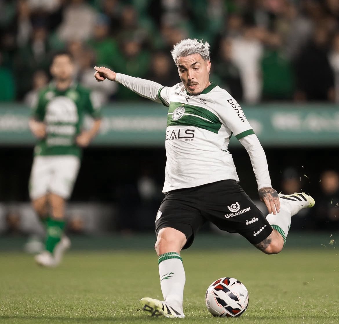 SofaScore do Verdão 🇳🇬 tweet media