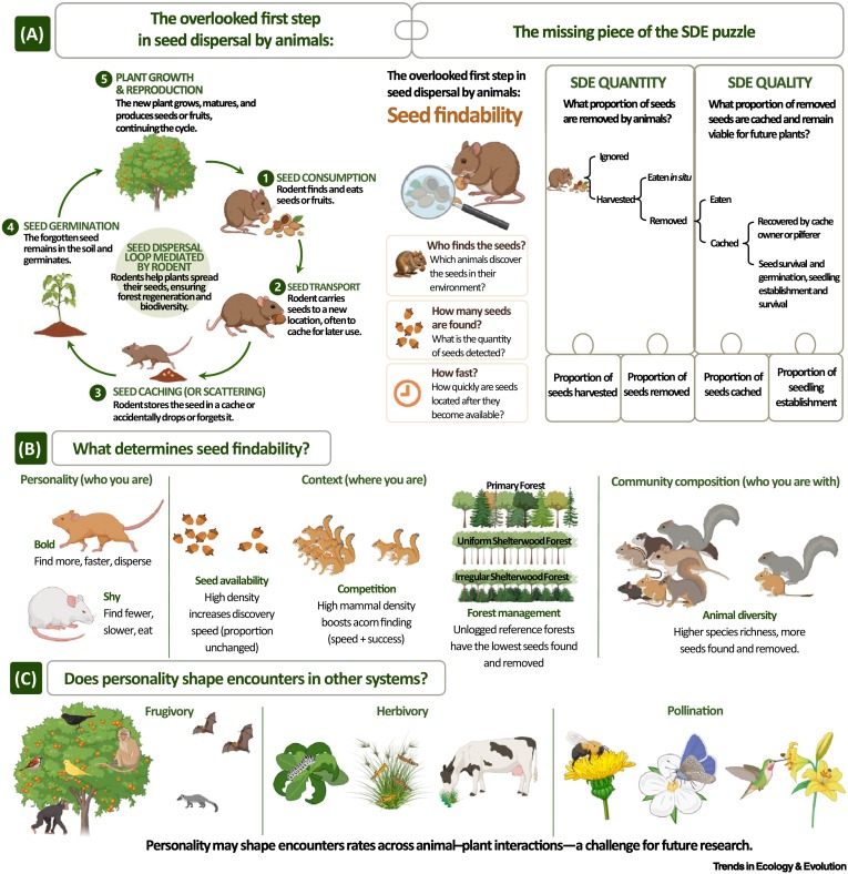 Trends in Ecology & Evolution tweet media
