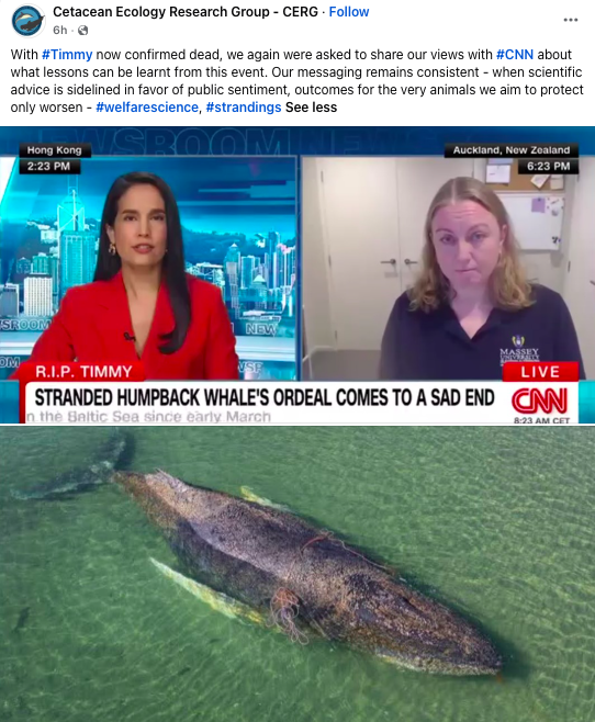 Stranded No More tweet media